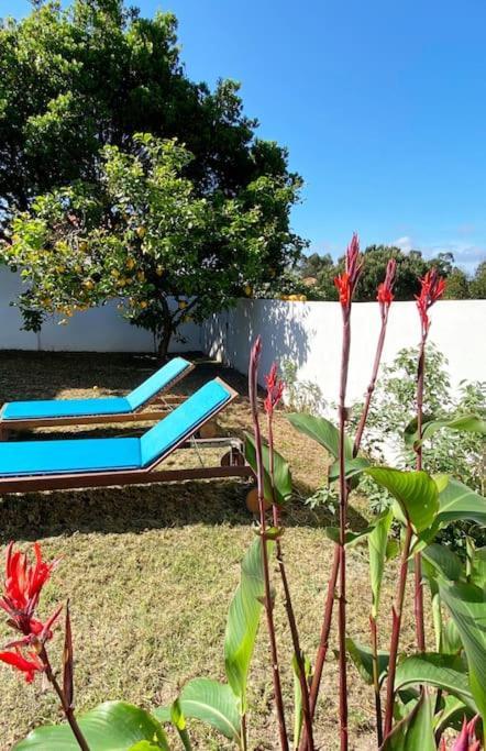 Terra Da Lagoa - Villa Near The Beach & Lagoon Nadadouro Extérieur photo